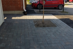 IMG-20190522-WA0006