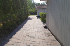 IMG-20190522-WA0007