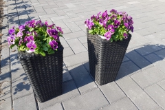 IMG-20190522-WA0009