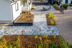 DJI_0225